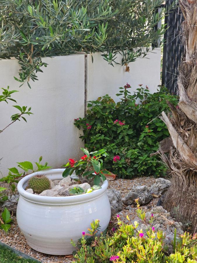 Casa Veran At La Finca Golf อัลกอร์ฟา ภายนอก รูปภาพ